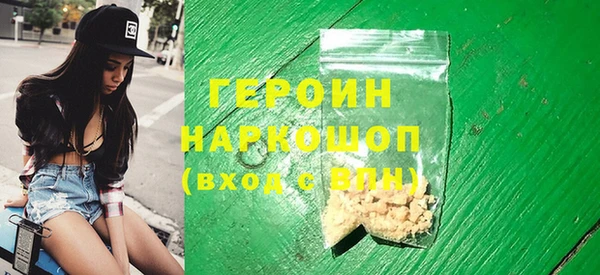 гашик Алексин