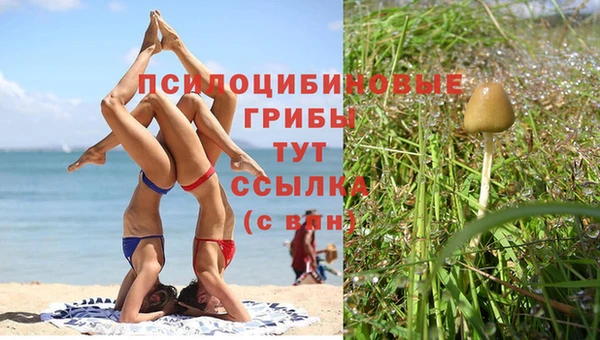 прущая мука Надым