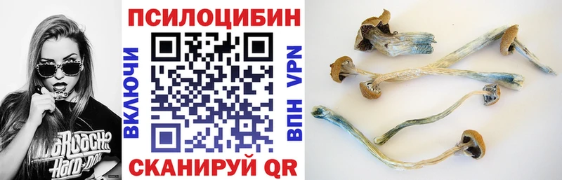 Галлюциногенные грибы GOLDEN TEACHER  Белая Калитва 
