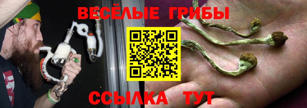 Белая Калитва  Псилоцибиновые грибы мицелий  Вход с VPN 