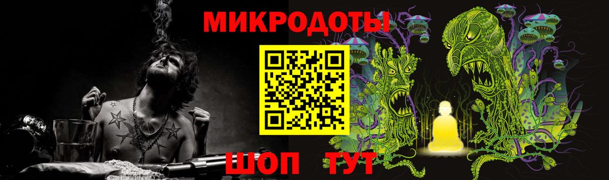 Псилоцибиновые грибы Psilocybe Белая Калитва